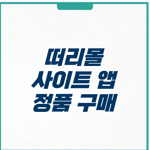 떠리몰 사이트 앱 정품 구매 후기